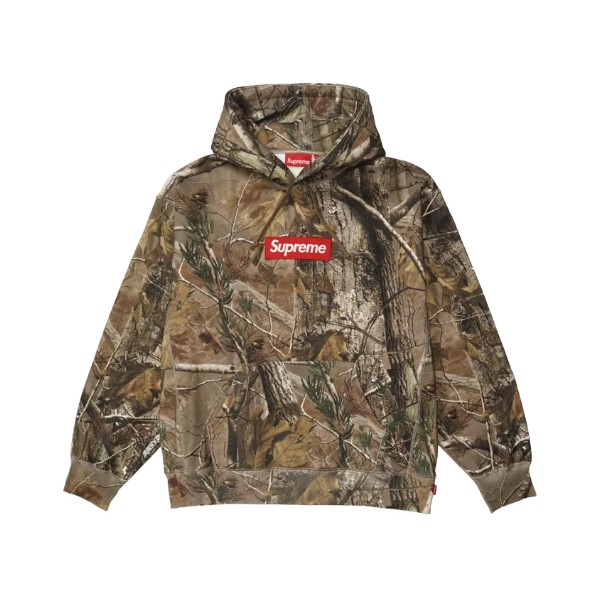 Box Logo Hooded Sweatshirt 2025AW